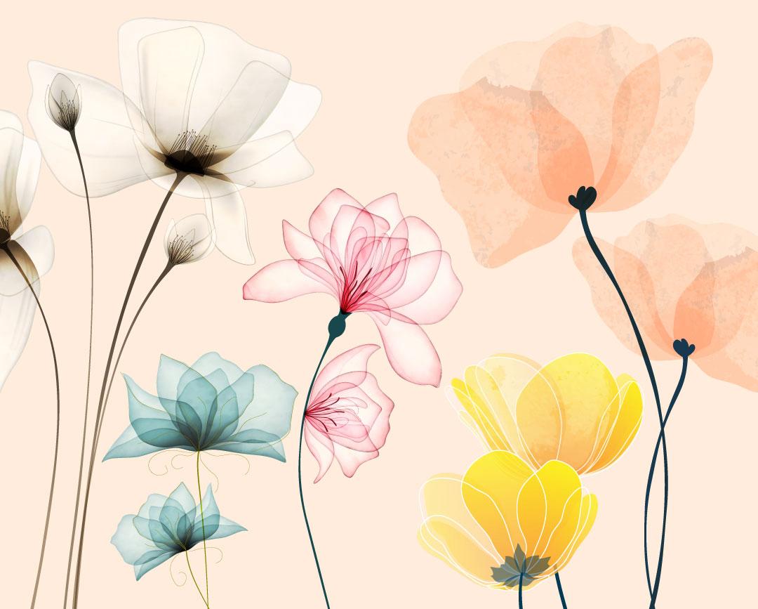 WhatsApp Image 2024 07 17 at 16.19.29 1e44fcb1